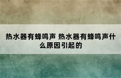 热水器有蜂鸣声 热水器有蜂鸣声什么原因引起的